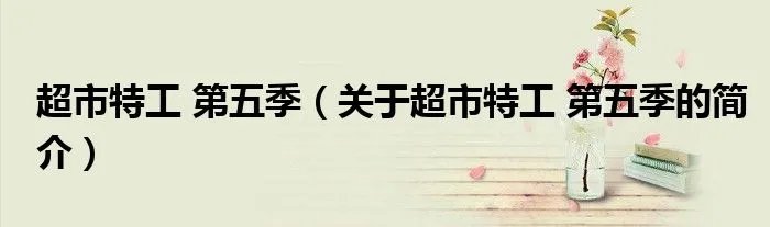 超市特工 第五季（关于超市特工 第五季的简介）