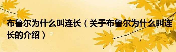 布鲁尔为什么叫连长（关于布鲁尔为什么叫连长的介绍）