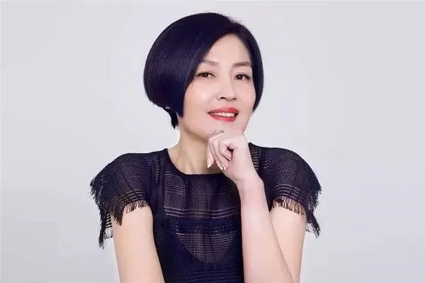 哈文的个人资料简介 哈文离开央视原因