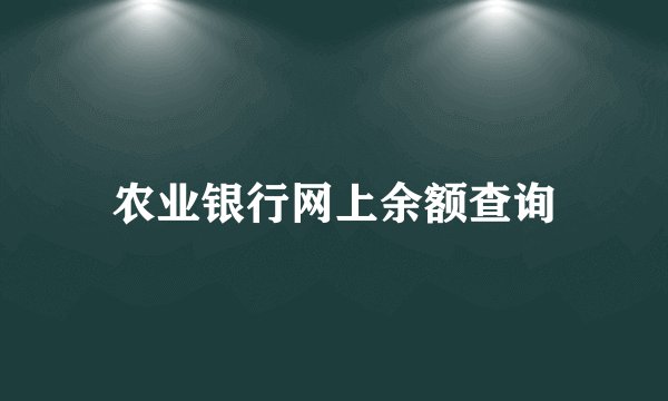 农业银行网上余额查询