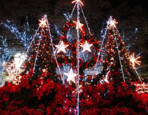 圣诞节好看的图片 圣诞节图片简单漂亮大全