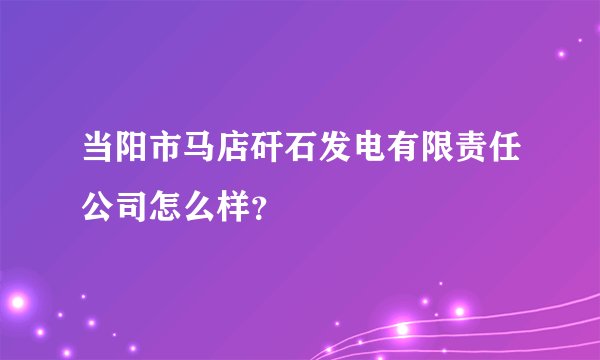 当阳市马店矸石发电有限责任公司怎么样？