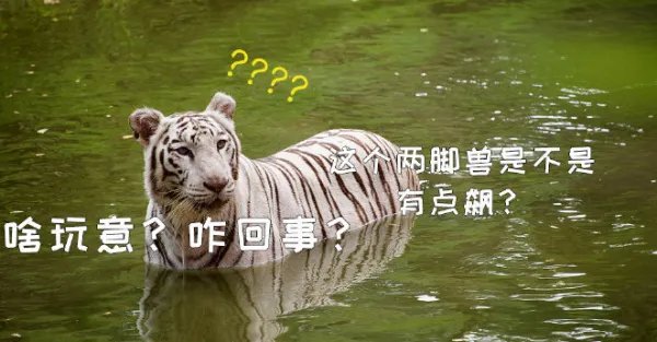 北京野生动物园有游客下车冲向虎群一事引发关注，该游客到底有何目的？