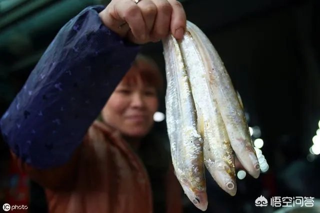 长江刀鱼养殖已经成功几年了,为什么有人说在市场上没有见到?