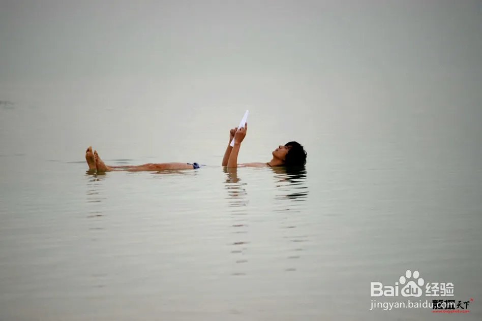 龙摄天下摄影团