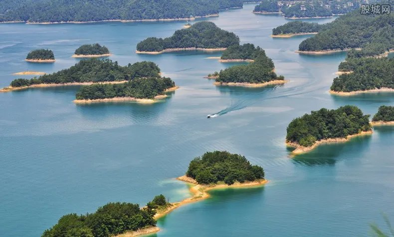 千岛湖开春第一网捕鱼5万斤 1天就能出现在香港餐馆