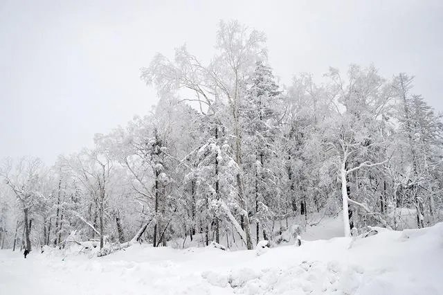 驴友穿越贡嘎遇难，如何正规地穿越贡嘎区？