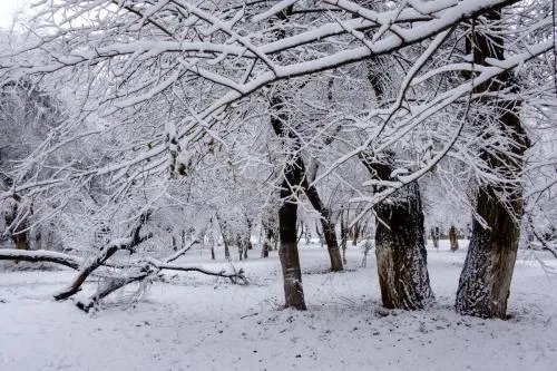 北方人卖雪糕为什么不交电费？
