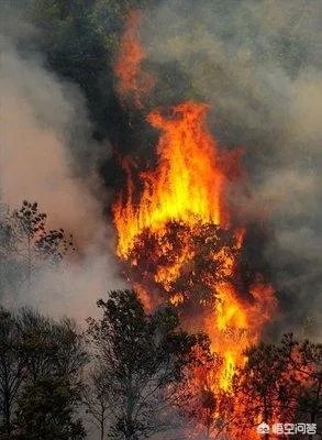 拥有悠久历史的沈阳棋盘山着火了，这是不是全人类的损失？