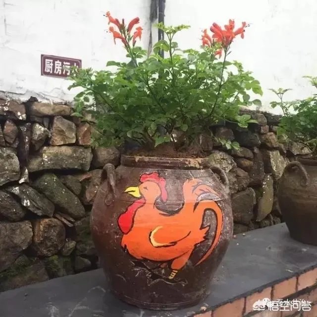 农村的生活垃圾怎么变废为宝？