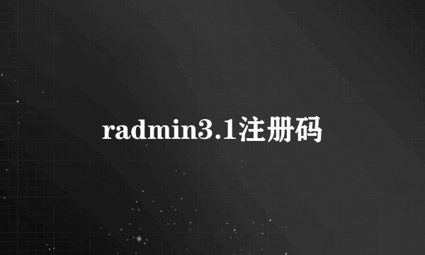 radmin3.1注册码