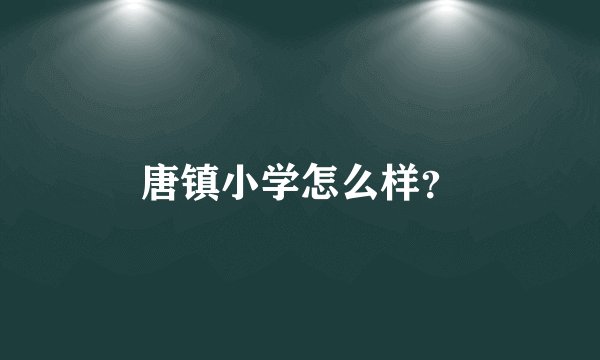 唐镇小学怎么样？