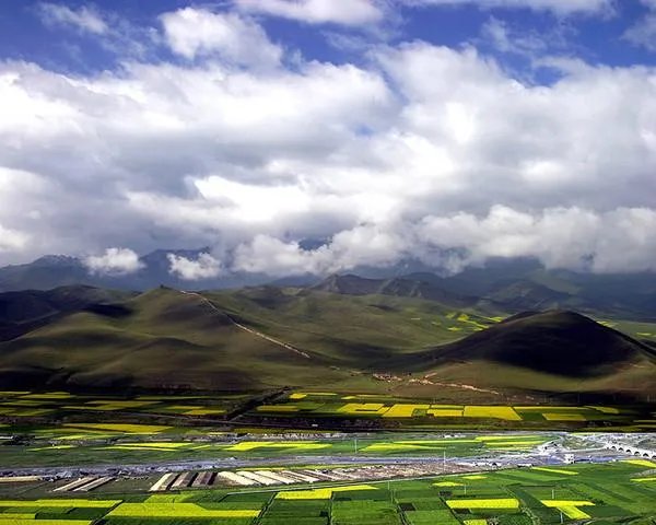 祁连山的生态环境被长期破坏,大家怎么看?