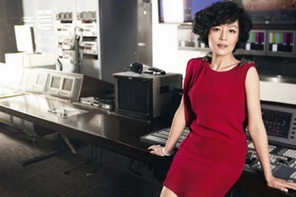 哈文的个人资料简介 哈文离开央视原因