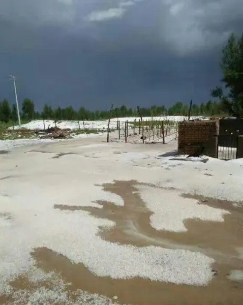 多图陕西榆林遭冰雹情况怎么样？