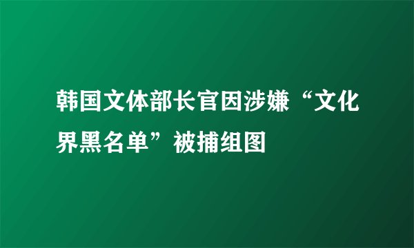 韩国文体部长官因涉嫌“文化界黑名单”被捕组图