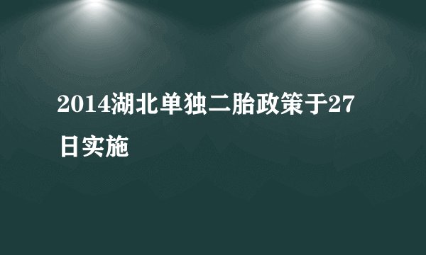 2014湖北单独二胎政策于27日实施
