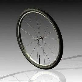 自行车轮胎就那么几个牌子么