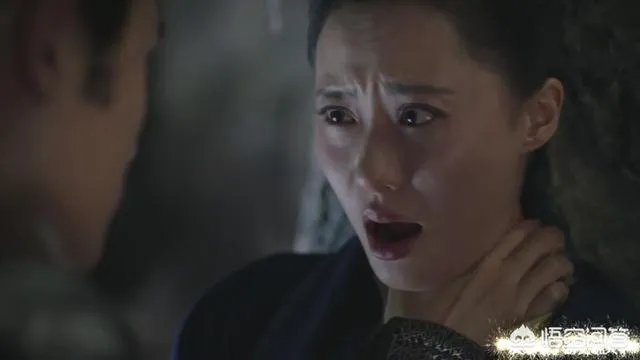 司马昭和她嫂子