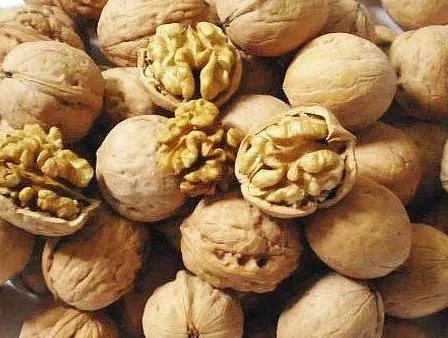 喷发火山用来烧烤 吃完烧烤吃什么能排毒解毒