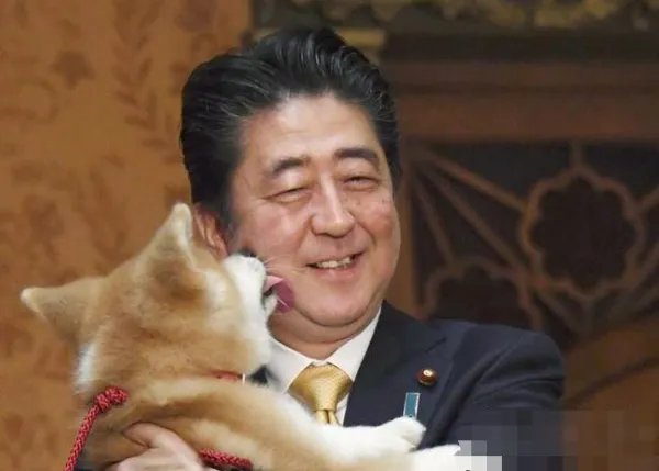安倍赠送秋田犬给谁？