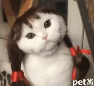 要成为维密模特，有哪些必备条件？