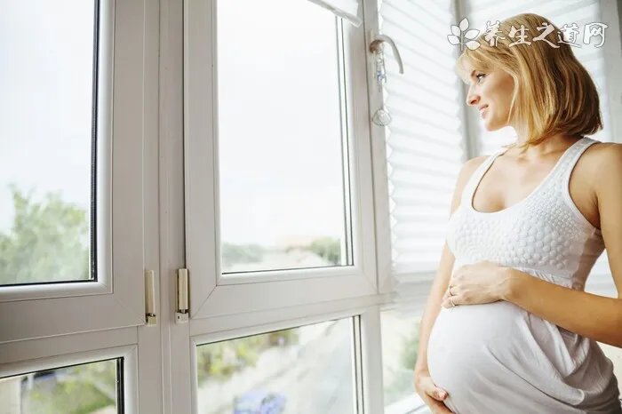 德国防暴犬排名，世界3大防暴犬品种