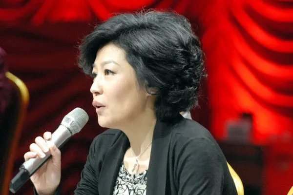 哈文的个人资料简介 哈文离开央视原因