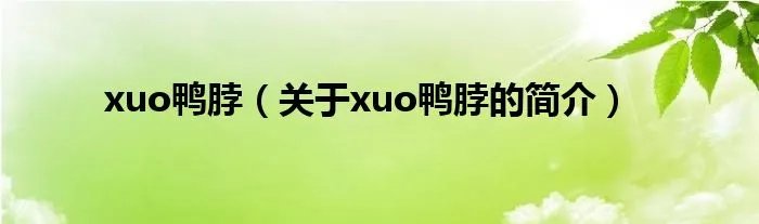 xuo鸭脖(关于xuo鸭脖的简介)