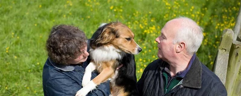 德国牧羊犬吃什么好 德国牧羊犬不能吃的食物