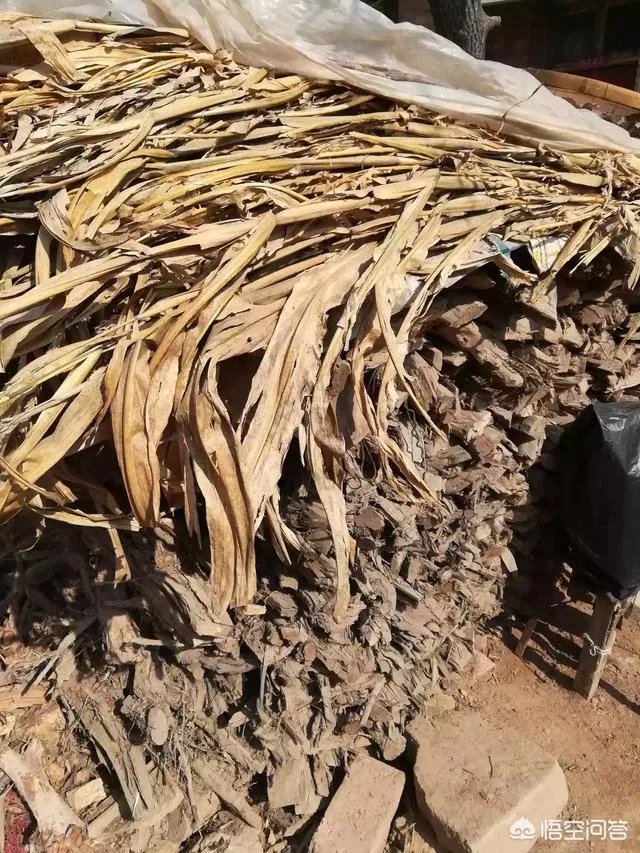 如何看待江苏宿迁女子不识字不会存款，将5000元钱埋土里，却被邻居挖走？