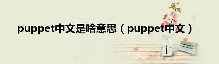 puppet中文是啥意思（puppet中文）