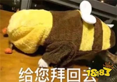 给您拜年了表情包