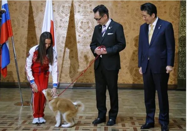 安倍赠送秋田犬给谁？